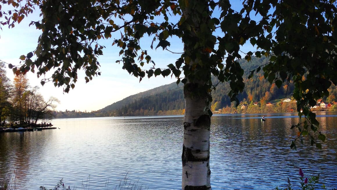 Vue sur le lac gerardmer