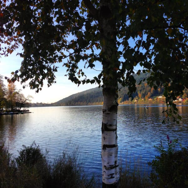 7 lacs dans les Vosges pour se baigner