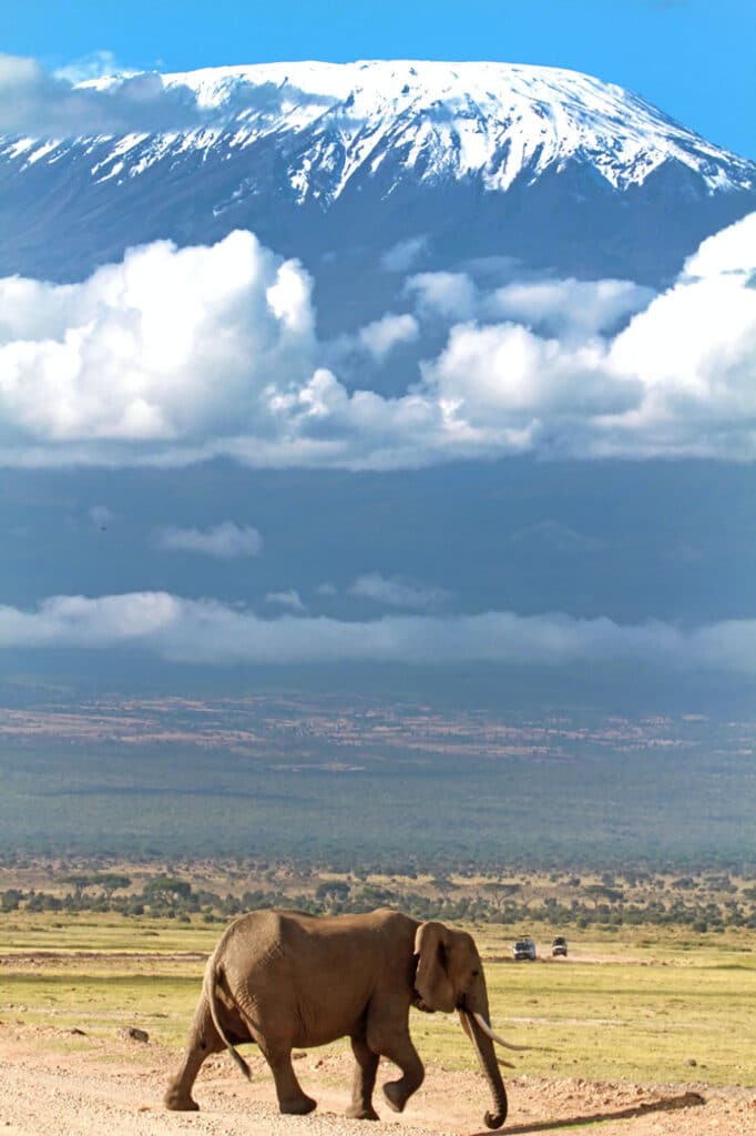 Vue sur le kilimandjaro avec un éléphant en premier plan