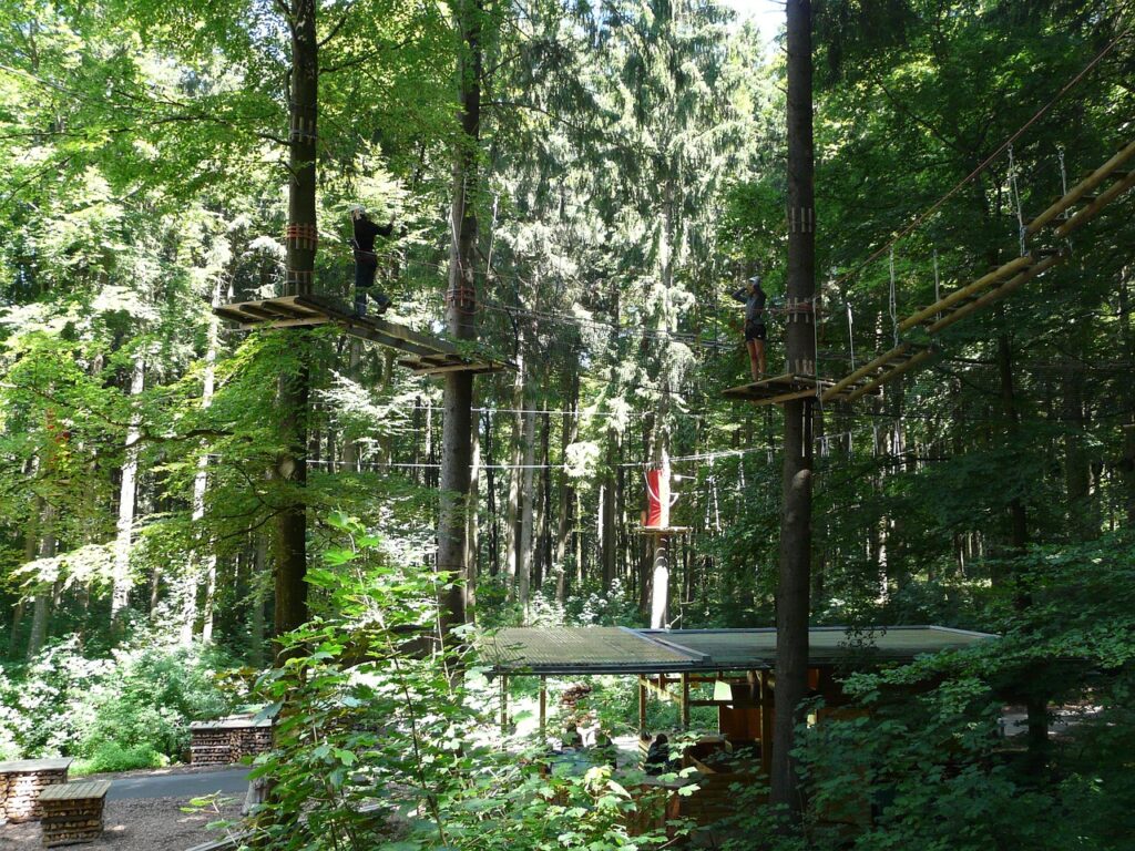 high-ropes-course-gd13e63247_1280