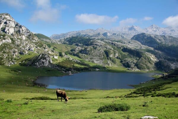 Quelles activités sont proposées dans les stations de montagne pendant l’été ?